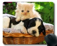 Gaming Mouse pad,Kitten Puppies Dog cat Mouse pad,Mouse mat for Computer cat169