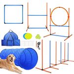 Dog Agility Equipments