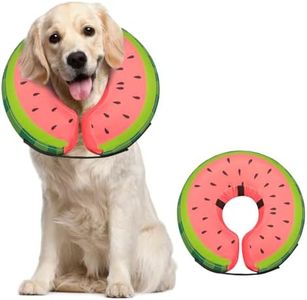 MIDOG Infl