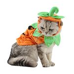 ANIAC Pet Pumpkin Costume Cat Halloween Hat Cloak Sets Puppy Poncho Dog Halloween Cosplay for Kitty Small Medium Sized Dog