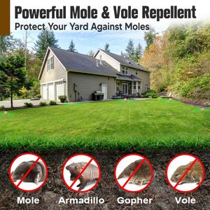 WENQHL Mole Repellent Stakes 12-Pack – Outdoor Rodent Deterrent