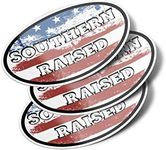 Southern Raised American Flag Oval 