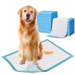 ZOIVANE Pee Pads for Dogs (Pack of 60) | 60x90 cm Heavy-Duty Pet Training Pads with Adhesive Floor Tape | Quick-Dry, Leak-Proof & Super Absorbent | Ideal for Puppies, Small, Medium & Large Dog