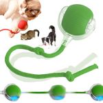 Interactive Rolling Dog Ball Toys, Self Rolling Cat Dog Ball Interactive Pet Toys Automatic Cat Toy Self Moving Dog Toys, 360° Smart Automatic Rolling Ball Toy Electric Dog Balls for Dog Cat (Green)