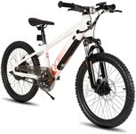 JOYSTAR 20 Inch Electric Bike for K
