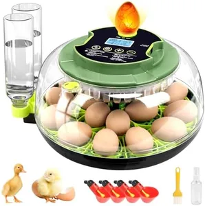 APODESS Egg Incubator for Hatching Eggs, 18 Egg Incubator with Temperature Control, Humidity Display, Auto Egg Turner, Egg Candler, 2 Size Egg Trays, Digital Incubator for Chicken, Quail (18 Eggs)