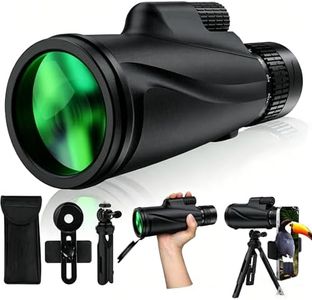 Monocular-