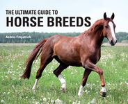 The Ultimate Guide to Horse Breeds