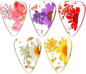 5 Pieces Flower Guitar Picks Dried 