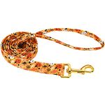 ARING PET Dog Leash, Halloween Dog Leashes Matching Dog Collars, Handmade Ghost Pumpkin Walking Dog Leash for Small Medium Large Dogs