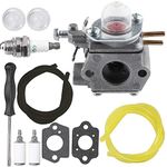 WT-973 Carburetor for Bolens BL110 BL160 BL425 Cub Cadet BC210 BC280 CC212 CS202 SS270 Troy-Bilt TB21EC TB22 TB22EC TB32EC TB42BC TB80EC TB2040XP Cub Cadet BC210 BC280 CC212 CS202 753-06190 Carb