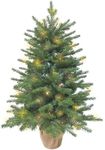 3ft Pre-Lit Mini Fir Christmas Tree