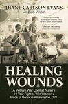 Healing Wounds: A Vietnam War Comba