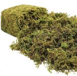 Riare 600g Artificial Fake Moss for Plant- Premium Artificial Moss Fake Green Grass for Potted Plants Greenery Moss Faux Green Moss for Centerpieces Home Kitchen Garden Terrariums Decor