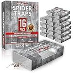 Spider Traps for Inside Your Home (16 Traps) - Spider Catcher Insect Traps Indoor - Spider Traps Indoor Bug Traps Sticky Traps for Spiders - Pre Baited Ultra Sticky Insect Glue Traps - Trap a Pest