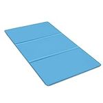 LIVIVO Cooling Gel Body Pad Pillow Mat Absorbs and Dissipates Heat from The Whole Body - Great for Aiding Sleep, Comfort, Stress and Tension - Ideal for Flu Fevers Sweats (60cm x 100cm)