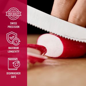 Victorinox Swiss Classic 6-Piece Knife Set – Stainless Steel Blades