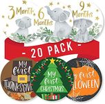 20 Monthly Baby Milestone Stickers - Elephant Baby Monthly Milestone Stickers, Milestone Baby Monthly Stickers, Baby Month Stickers for Baby Photo Props Newborn, Monthly Baby Stickers for Pictures