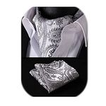 HISDERN Cravat for Men Silk Paisley Grey Cravats and Handkerchief Jacquard Wedding Ascot Tie & Pocket Square Set for Business Party