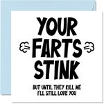 Funny Birthday Card for Him - Your Farts Stink - Anniversary Card for Boyfriend Partner Fiance, 145mm x 145mm Greeting Cards, Birthday Valentines Card Husband from Wife Girlfriend