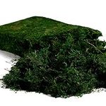 Farmoo Artificial Moss for Plant, 8