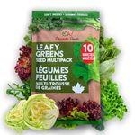 Leafy Greens Variety Pack – Hydroponic/Indoor/Outdoor. Heirloom Lettuce Seeds, Spinach Seeds, Arugula Seeds, Kale Seeds and More | Oh! Canada Seeds | Seeds for Planting