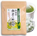 Matcha Infused Green Tea Bags 40 packs/80 g Biodegradable Filter, Japanese Teabags, YAMAEI