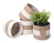 Eco Living Jute Planter Basket Sustainable Woven Rope Covers for Decorating Indoor/Outdoor Plants Pots 6.5x6.5x6 Inches Ideal Size for 6" Planter-Multi-Purpose Storage Set of 4 White & Natural Jute