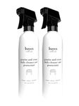 Bayes High-Performance Granite Countertop Cleaner, Rejuvenator, and Polish - Cleans, Shines, and Protects Granite, Marble, and Natural Stone Surfaces - 16 oz, 2 Pack