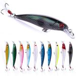 Lumista Jerkbait Fishing Lures,Jerkbaits for Bass Fishing,Minnow Lures Jerk Bait for Freshwater/Saltwater Fishing Lures for Trout Pike,10pcs with Box