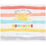 C.R. Gibson BA3-24545 You are My Sunshine Gender Neutral Baby's First Year Keepsake Calendar, 11" W x 18" H Open, Multicolor