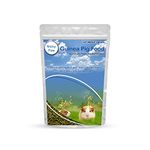 Maisy Paw Guinea Pig Food, Nutritionist Choice (ISO 9001 Certified), Added Vitamins & Minerals (1200 g, Pack of 1)