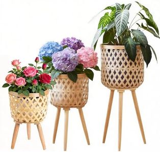 Boho ratta