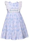 Bonnie Jean Girls 3M-6X Embroidered Smocked Panel Dress, Blue-toile, 6-9 Months