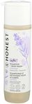 Honest Truly Calming Shampoo And Body Wash - Dreamy Lavender Kids Shampoo and Body Wash 10 oz