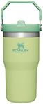 Stanley IceFlow Stainless Steel Tumbler - Vacuum Insulated Water Bottle for Home, Office or Car Reusable Cup with Straw Leak Resistant Flip Cold for 12 Hours or Iced for 2 Days, Citron, 20 oz / 0.59 L