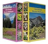 Sierra Nevada Mountain Wildflowers 