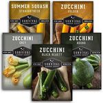 Survival Garden Seeds Zucchini & Squash Collection Seed Vault - Non-GMO Heirloom Seeds for Planting Vegetables - Assortment of Golden, Round, Grey, Black Beauty Zucchinis, Straight Neck Summer Squash