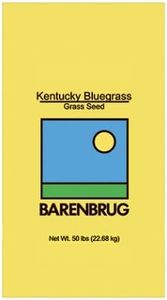 Kentucky B