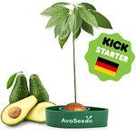 Avocado For Men