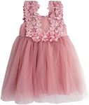 BGFKS Baby Girl Flower Lace Dress Elegant Princess Toddler Tulle Dress for Wedding Birthday Party., Dusty Rose, 12 Months