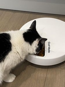 Cat Mate C500 Automatic Pet Feeder – 5 Meal Digital Timer