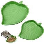 2 Pieces Leaf Reptile Food Water Bo