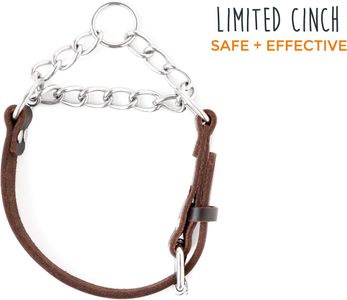 Mighty Paw Leather Martingale Dog Collar – Stainless Steel Chain, Safe Training