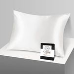 OLESILK 100% Mulberry Silk Pillow C