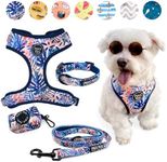 4-Piece Walkies Bundle [Pipco Pets]