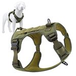 Plutus Pet Tactical Dog Harness, All Metal Buckles, No Pull Service Dog Vest with Handle, Adjustable Military Dog Harness with Hook & Loop Panels, for Small Medium Large Dogs, Ranger Green, M