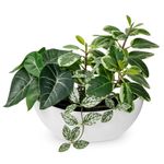 Hollyone 30CM Mixed Artificial Plants in White Pot, Decorative Fake Plants with Boat Pot, Faux Plants Indoor for Home Decor, Bedroom, Bathroom, Kitchen, Bathroom, Shelf, Desk, Office Decorations