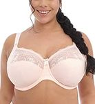 Elomi Women's Plus Size Morgan Underwire Banded Stretch Lace Bra, Ballet Pink, 36J