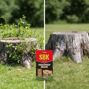 HOCHSTE Vitax SBK Stump Killer 250ml, 2-Pack – Tree Root Remover